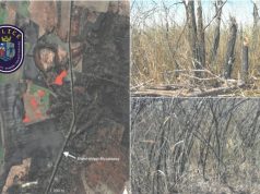 Lezárt akta: gondatlanságból okozott tüzet – közel 5 hektáron leégett a Kiskunsági Nemzeti Park