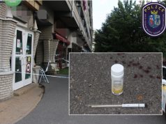 Őrizetben a kecskeméti késelő