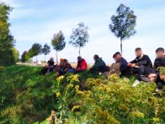 14 fős migránscsoport bácsbokodnál