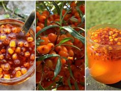 Finom, egészséges fűszerpaprika és homoktövis ivólé a termelőtől