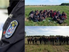46 illegális migráns Katymárnál