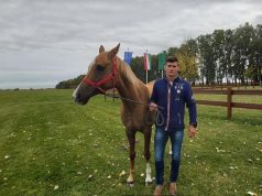 Izsákon zárul a távlovagló és távhajtó OB