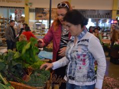 KECSKEMÉTI PIAC-HÍREK