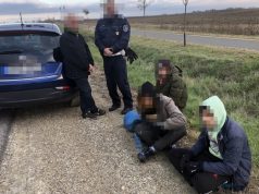 Magyar embercsempészt fogtak el