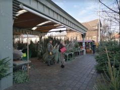 Piaci Fenyőláz 2021 decemberében is Kecskeméten