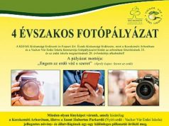 4 ÉVSZAKOS FOTÓPÁLYÁZAT