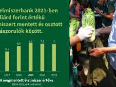 Élelmiszerbank 2021 eredmények final