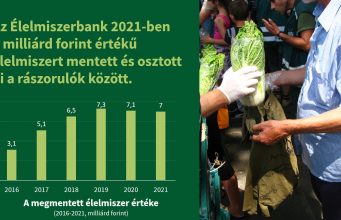 Élelmiszerbank 2021 eredmények final