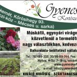 Gyenes Kertészet