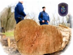 TANYÁS AKCIÓ KECSKEMÉT PEREMTERÜLETÉN