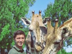 Nagykőrösön találta meg új helyét hazánk egyetlen autós szafariparkja