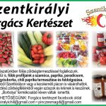 SzentkiralyiForgacsKerteszet_es_Chili_2022_2