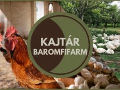 Kajtár Baromfi – A boldog állatok farmja