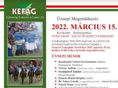 ÜNNEPI MEGEMLÉKEZÉS-március 15.