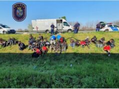 ÚJABB EMBERCSEMPÉSZT FOGTAK AZ M5-ÖS AUTÓPÁLYÁN
