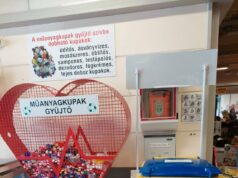 Környezetünk értékeinek megóvása a Piac támogatásával