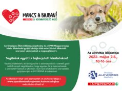 Bajba jutott állatokon segít a SPAR gyűjtőakciója