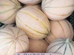 Gyümölcsszezon! Auchan -Hetényi körforgó között finomabbnál finomabb zöldségeket-gyümölcsöket vásárolhat meg garantáltan frissen!
