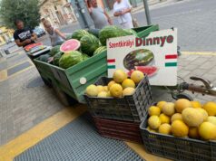 Dinnyevásár a Budai utcai piacon