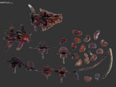 Háborítatlan sírt találtak a régészek