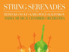 Reinecke, Wolf, Karłowicz, Kalinnikov: Vonósszerenádok – Anima Musicæ