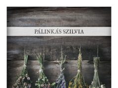 Budapesten a halasi regény