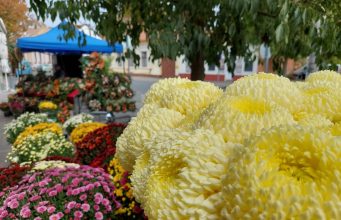 Ünnepi nyitvatartás