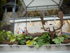 Szokatlan látvány: dámbika-teríték a nemzeti kegyhely oltáránál