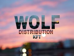 2022 év röviden a Wolfnál