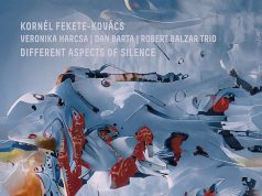 Fekete-Kovács Kornél: Different Aspects of Silence