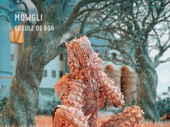 Mowgli: Gueule de Boa