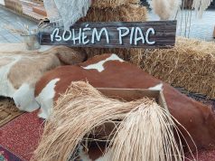 Ismét lesz „Bohém Piac” a Budai utcai Piacon