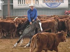 Magyar Cowboy nyert Csehországban