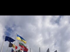 „Egy a célunk: a magyar érdekek védelme” – interjú Győri Enikővel