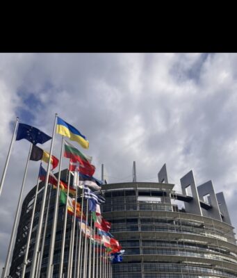 „Egy a célunk: a magyar érdekek védelme” – interjú Győri Enikővel