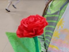 Nyári aprók tánca