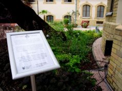 Kada Elek és Lestár Péter terem a felújított Városházán