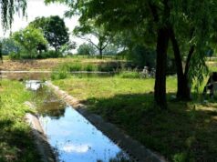 TOP-2.1.3-16-BK1 – TELEPÜLÉSI KÖRNYEZETVÉDELMI INFRASTRUKTÚRA-FEJLESZTÉSEK –PROJEKTZÁRÁS