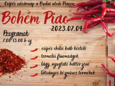 Ismét Bohém piac a belvárosi Piacon