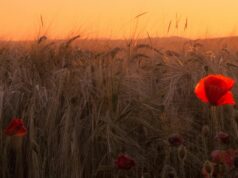 Augusztusban is várunk