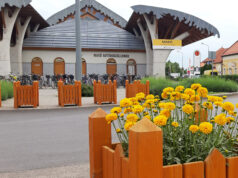 Sikeresen zárult a Volánbusz virágosítási pályázata