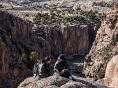 BEAR GRYLLS – SZTÁROK A VADONBAN: A KIHÍVÁS