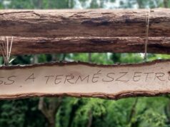 pART erdőtárlat nyílt Hévízen!