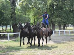 Őrzik a magyar lovas hagyományokat