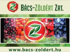 Gyümölcsök, zöldségek csábító árakona Te szedd akció!keretében
