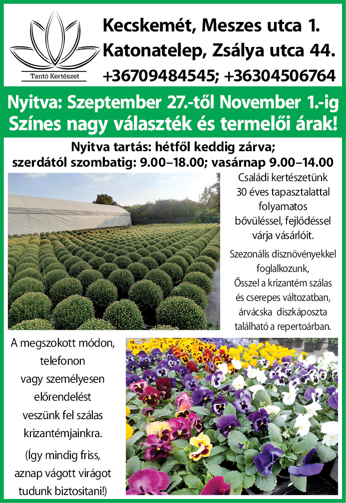 TantóKertészet_negyed_2023_4