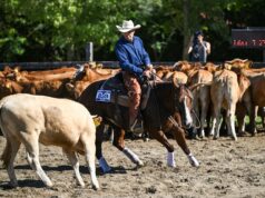 Újabb vadnyugati hétvége Kiskunfélegyházán