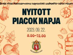 Nyitott Piacok Napja a Budai utcai Piacon