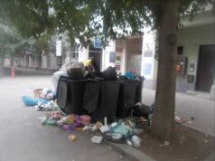 Lecsaptak a városrendészek a kukaborogatókra