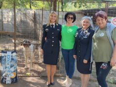 Október-én ünnepeljük az Állatok Világnapját!